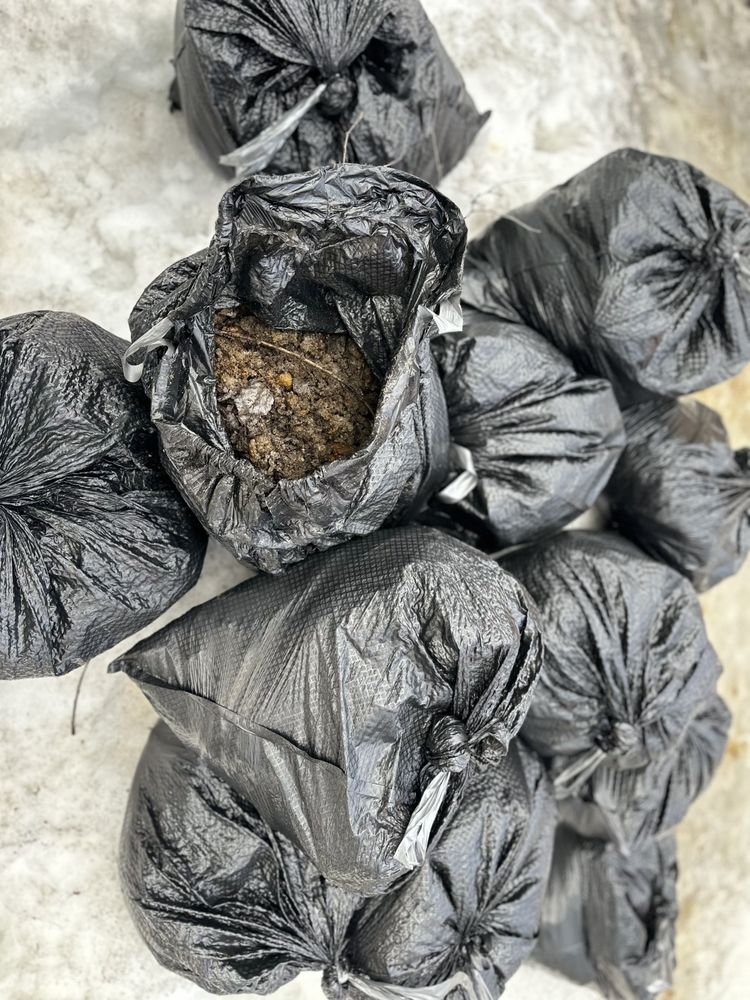 Slide of Arctic Eagle Property Maintenance