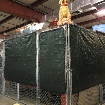Go Store It Self Storage - Barney is protecting your stuff! - Self Storage Near Me - Ft Myers, Florida