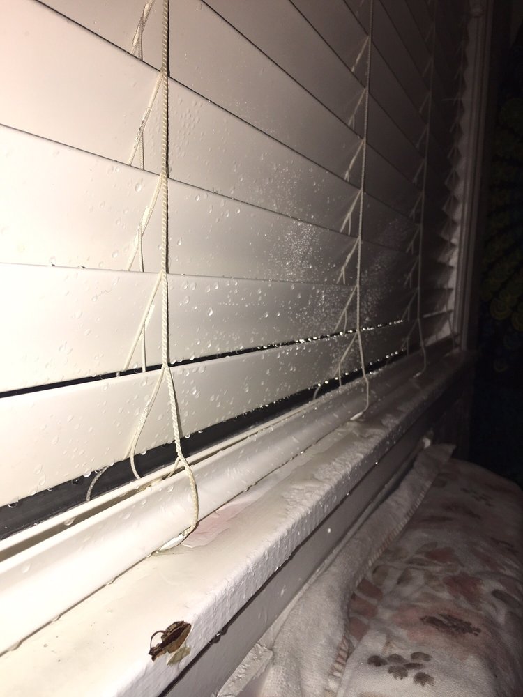 NIELSEN PROPERTY MANAGERS 36 Photos & 130 Reviews 2530 I St