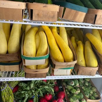 Terrell Farmers Market - Zuchinni Squash - Farmers Market Near Me - Terrell, Texas Terrell Farmers Market - Zuchinni Squash - Farmers Market Near Me - Terrell, Texas