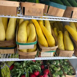 Terrell Farmers Market - Zuchinni Squash