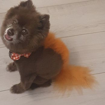 Ohh La La Paws - Pet Groomers Near Me