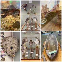 Taylor Center of Natural History