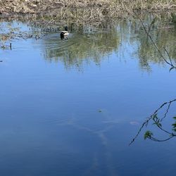 Columbus Park - Lake