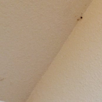 Boulder Creek Apartment Homes - Sadly my first month rent is due... I live w roaches - Apartments Near Me - San Antonio, Texas Boulder Creek Apartment Homes - Sadly my first month rent is due... I live w roaches - Apartments Near Me - San Antonio, Texas