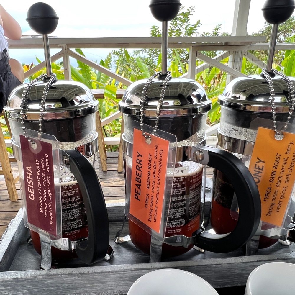 Hala Tree Coffee - Flight of choice samples of coffee - Attraction Farms Near Me - Captain Cook, Hawaii