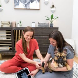 Walking Paws Rehab - With the use of ultrasound imaging, we can diagnose tendon, muscular or ligament injuries.