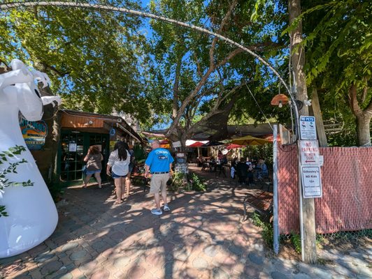 Gilhooley's Restaurant and Oyster Bar 18+ by null
