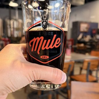 Salt Face Mule Brewing - Brewpubs Near Me - Asheville, North Carolina
