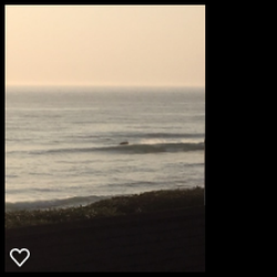 McCorkle Construction - Whale siting on Neahkahnie Beach