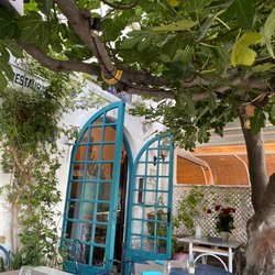 La Balada del Agua del Mar - Outdoor front sitting under an old fig tree