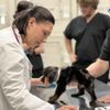 Sonoran Foothills Pet Clinic gift card