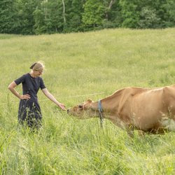 Baldwin Brook Farm