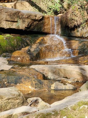 Cascade Springs Nature Preserve by null