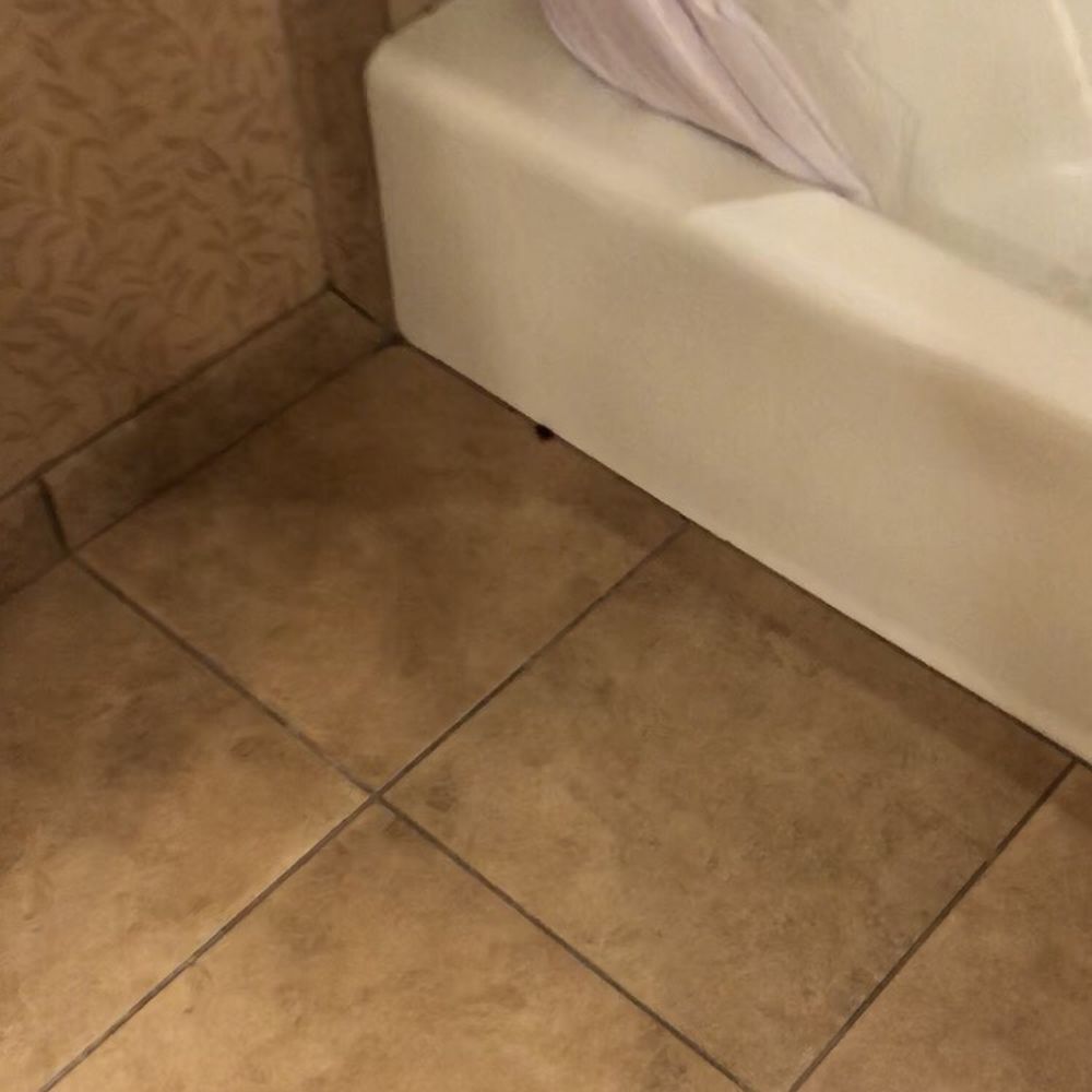 Red Lion Hotel Redding - Cockroach in bathroom next to tub - Hotels Near Me - Redding, California