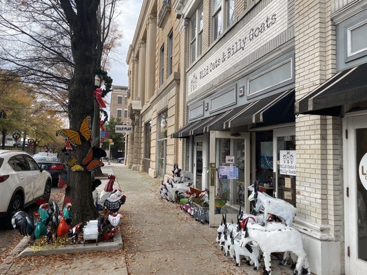 Wild Oats and Billy Goats