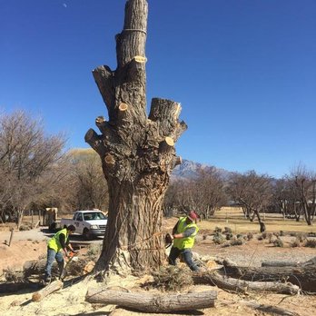 American Tree Services - Tree Services Near Me