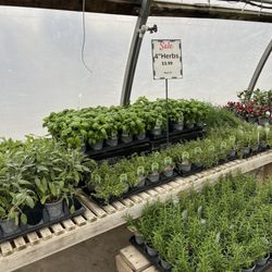 LittleTree Garden Market