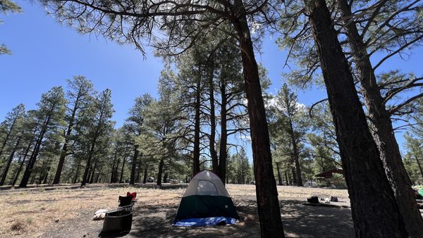 Bonito Campground by null