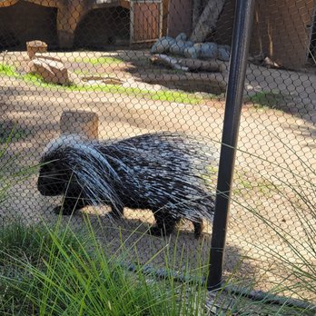 Urban Jungle - Zoos Near Me - San Diego, California