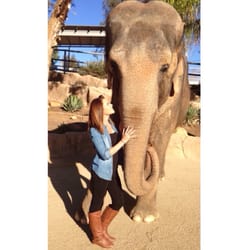 Have Trunk Will Travel