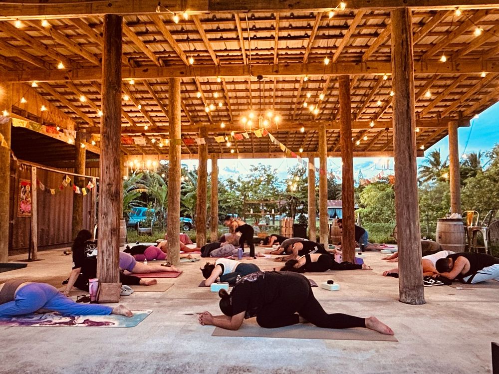 The Yoga Fairy Image