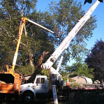 Advanced Tree - Tree Services Near Me - Seekonk, Massachusetts
