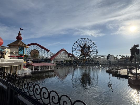 Paradise Gardens Park by null