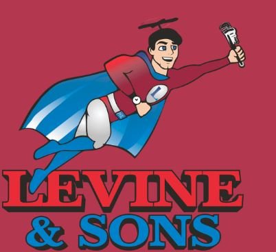 Slide of Levine & Sons