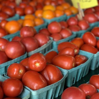 Barry Davis Produce Stand - Tomatoes - Fruits & Veggies Near Me - Collegeville, Pennsylvania Barry Davis Produce Stand - Tomatoes - Fruits & Veggies Near Me - Collegeville, Pennsylvania