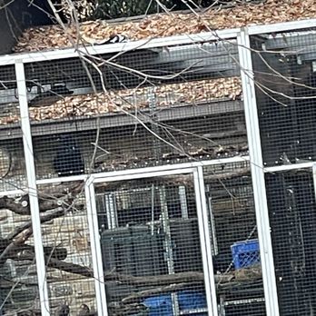 Maryland Zoo in Baltimore - Animal Habitat - Zoos Near Me - Baltimore, Maryland