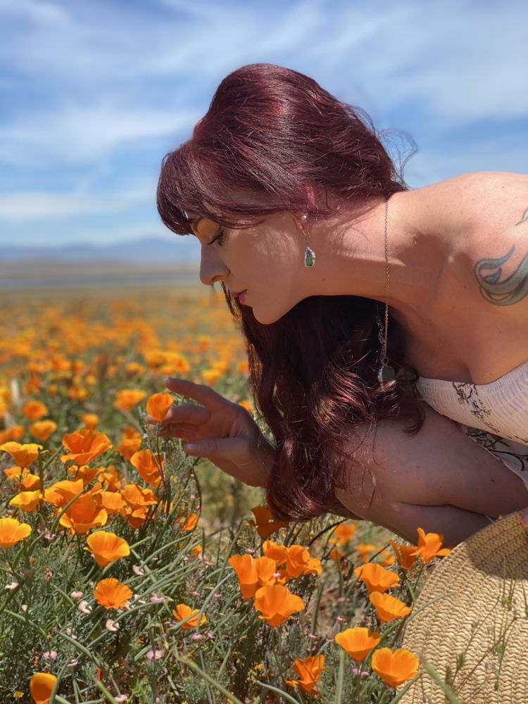 Lady Scarlett’s Healing  Logo