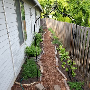 SymbiOp Landscaping - sideyard, transforming all-bark-chips into the promise of indigenous plant lushness in a year or two - Landscaping Near Me - Portland, Oregon SymbiOp Landscaping - sideyard, transforming all-bark-chips into the promise of indigenous plant lushness in a year or two - Landscaping Near Me - Portland, Oregon