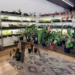 Plant Lovers - The shop's selection