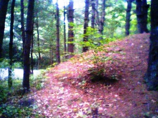 Wompatuck State Park by null