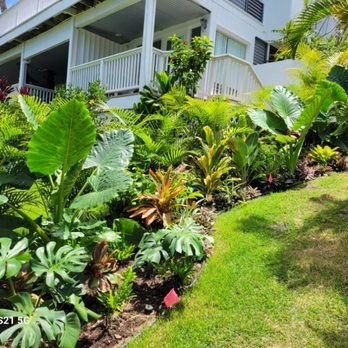 Immaculate Landscaping - Landscaping Near Me