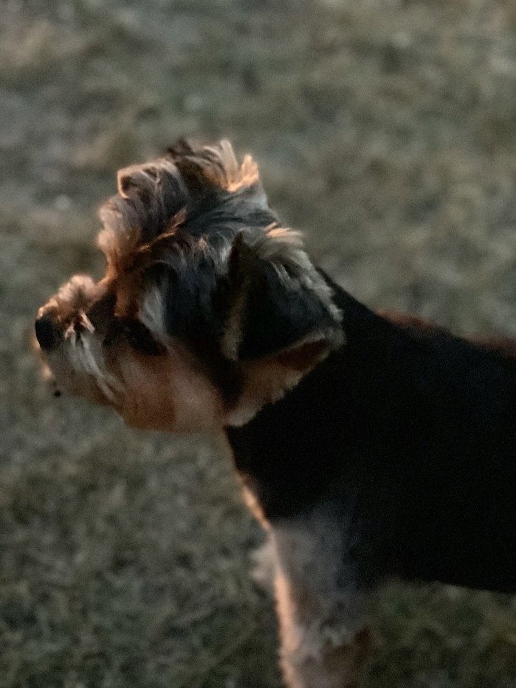 PAW SPA Updated August 2024 42 Photos 26660 104th St NW