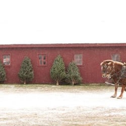 Burgess Tree Farm