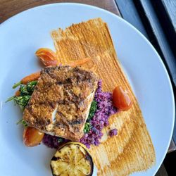 94th Aero Squadron Restaurant & Events - GRILLED YELLOWTAIL