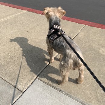 Pups N Such - Pet Groomers Near Me - King City, California Pups N Such - Pet Groomers Near Me - King City, California