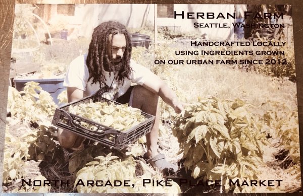 Atrium Kitchen by null