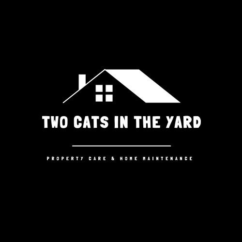 Slide of Two Cats in the Yard
