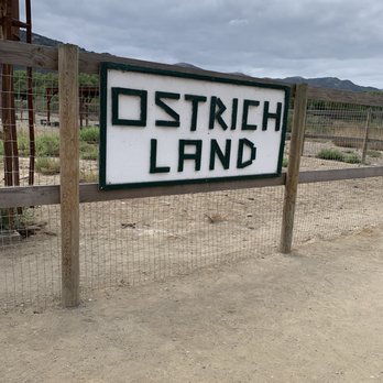 Ostrichland USA - Sign (Sep 2023) - Attraction Farms Near Me - Solvang, California