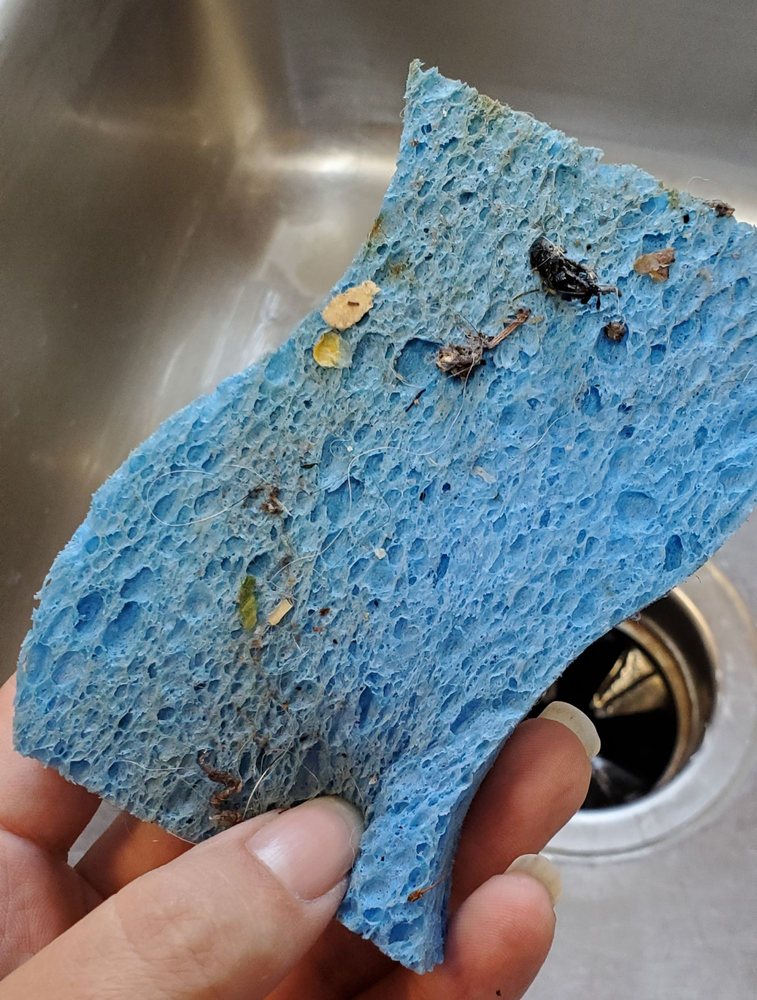 EUGENE CLEANING SOLUTIONS Updated October 2024 13 Photos & 18