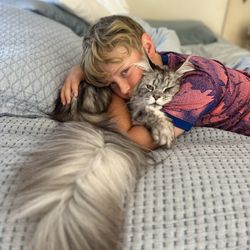 Perfect Cattery - Maine Coons love cuddles