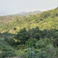 Coldwater Canyon Park