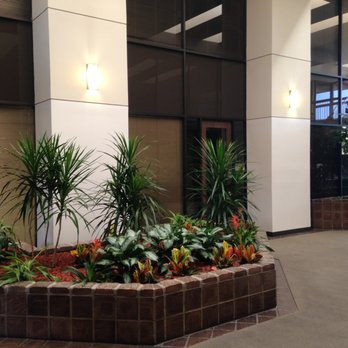 Edward J Wilson, MEd, CHt, LPC - Part of the Atrium inside the building - Counseling & Mental Health Near Me - Houston, Texas Edward J Wilson, MEd, CHt, LPC - Part of the Atrium inside the building - Counseling & Mental Health Near Me - Houston, Texas