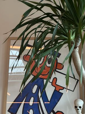 Allday Pizza: Hyde Park by null