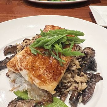 Seasons 52 - Brick Oven-Roasted Chilean Sea Bass - New American Near Me - Coral Gables, Florida Seasons 52 - Brick Oven-Roasted Chilean Sea Bass - New American Near Me - Coral Gables, Florida