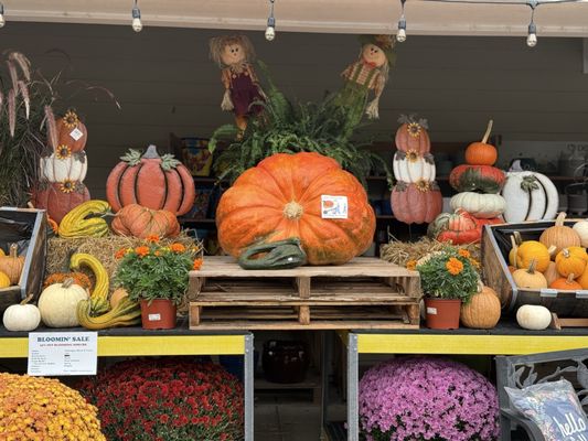 Southern States Purcellville